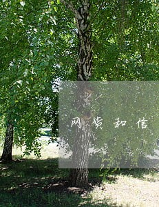 网货和信用卡逾期