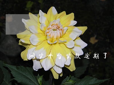 网货平台货款逾期了