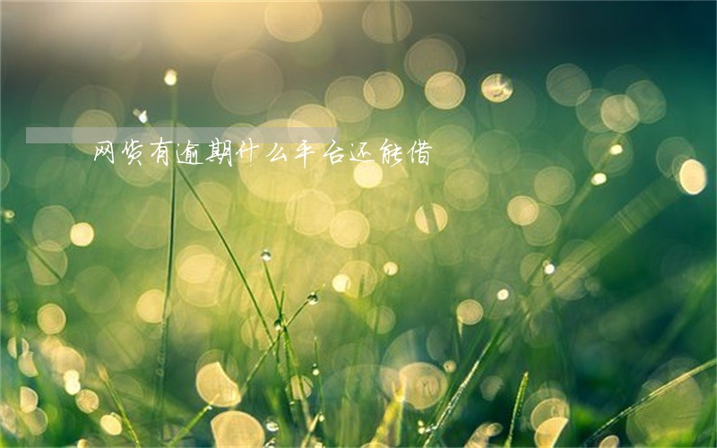 网货有逾期什么平台还能借 网货有逾期什么平台还能借