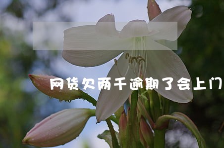 网货欠两千逾期了会上门催收吗 网货欠两千逾期了会上门催收吗