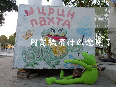 网货款有什么逾期了 网货款有什么逾期了