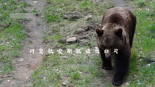 网货款逾期被催债公司