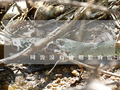 网货没有逾期影响信用卡吗 网货没有逾期影响信用卡吗