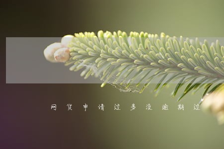 网货申请过多没逾期过 网货申请过多没逾期过