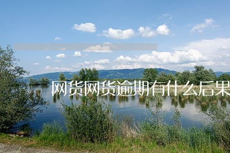 网货网货逾期有什么后果 网货网货逾期有什么后果