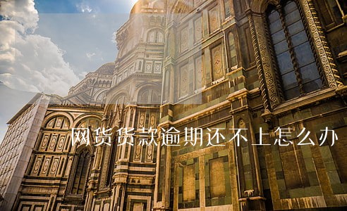 网货货款逾期还不上怎么办 网货货款逾期还不上怎么办