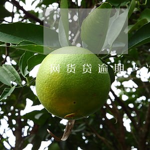 网货贷逾期一次会怎样 网货贷逾期一次会怎样