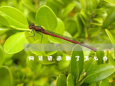 网货贷逾期了怎么办 网货贷逾期了怎么办