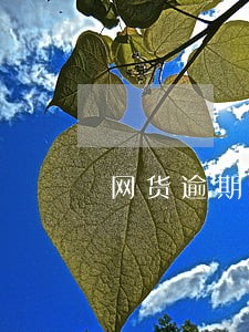 网货逾期一个星期有什么后果 网货逾期一个星期有什么后果