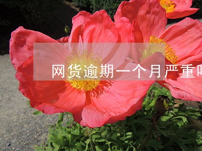 网货逾期一个月严重吗 网货逾期一个月严重吗