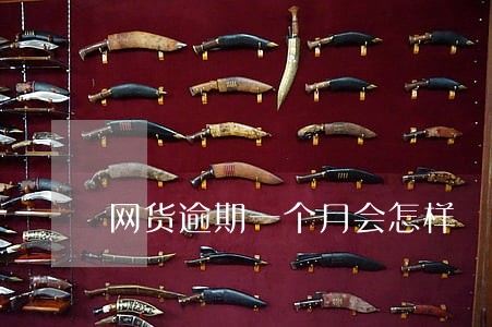 网货逾期一个月会怎样 网货逾期一个月会怎样
