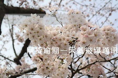 网货逾期一天就被爆通讯录 网货逾期一天就被爆通讯录