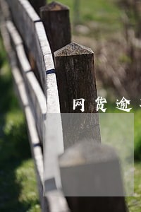 网货逾期一天罚息120
