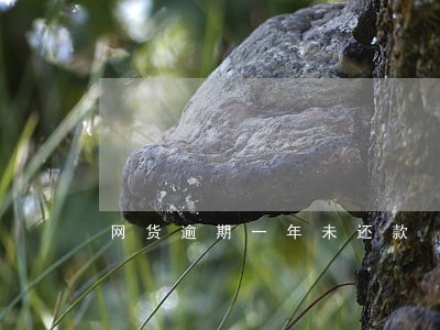 网货逾期一年未还款 网货逾期一年未还款