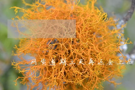 网货逾期三天再还会上征信吗 网货逾期三天再还会上征信吗