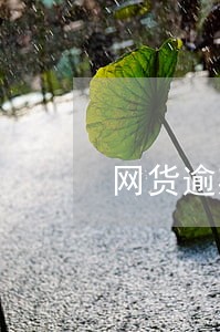 网货逾期三年 网货逾期三年