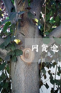 网货逾期上门 网货逾期上门