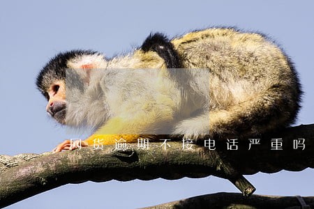网货逾期不接电话严重吗