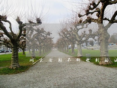 网货逾期不断收到验证码 网货逾期不断收到验证码