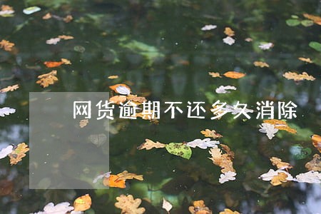 网货逾期不还多久消除 网货逾期不还多久消除