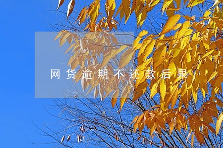 网货逾期不还款后果
