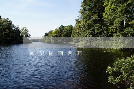 网货逾期两万 网货逾期两万