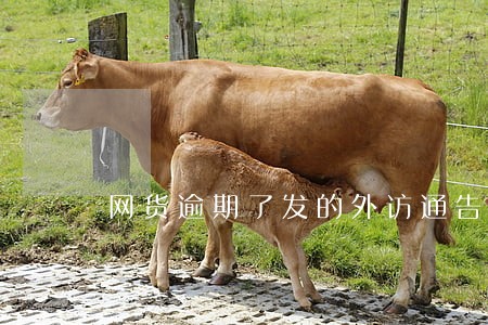 网货逾期了发的外访通告是真的吗 网货逾期了发的外访通告是真的吗