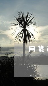 网货逾期了收到各种信息 网货逾期了收到各种信息