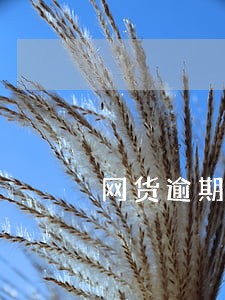 网货逾期了没有钱还怎么办 网货逾期了没有钱还怎么办