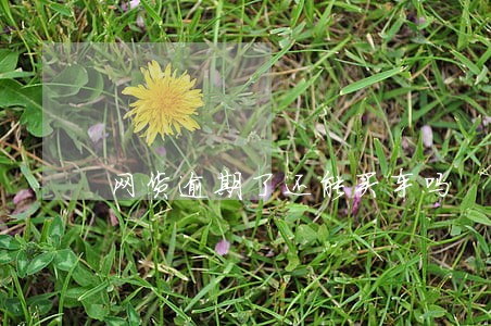 网货逾期了还能买车吗 网货逾期了还能买车吗