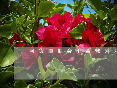 网货逾期会不会被列为失信人员 网货逾期会不会被列为失信人员