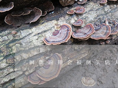 网货逾期会被例失信人名单吗 网货逾期会被例失信人名单吗
