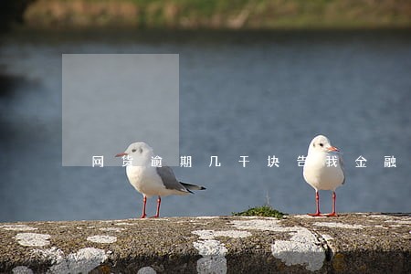 网货逾期几千块告我金融诈骗 网货逾期几千块告我金融诈骗