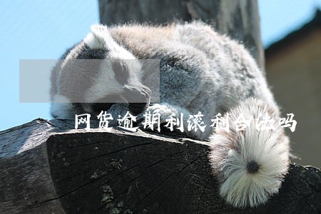 网货逾期利滚利合法吗 网货逾期利滚利合法吗