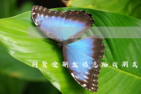 网货逾期发信息给我朋友 网货逾期发信息给我朋友
