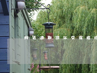 网货逾期可以交保险吗 网货逾期可以交保险吗