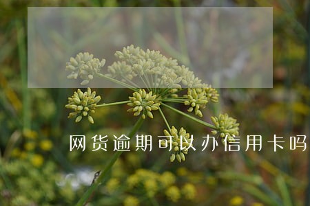 网货逾期可以办信用卡吗 网货逾期可以办信用卡吗