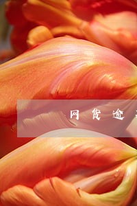 网货逾期可以接的平台