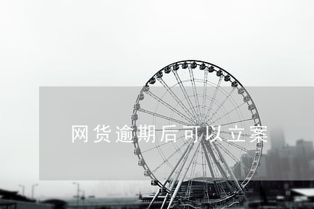 网货逾期后可以立案 网货逾期后可以立案