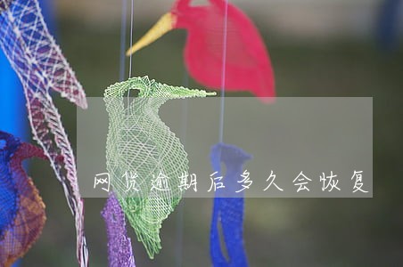 网货逾期后多久会恢复 网货逾期后多久会恢复