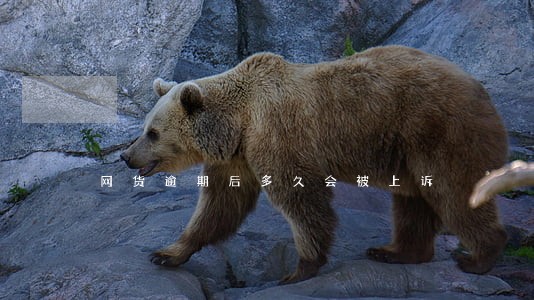 网货逾期后多久会被上诉 网货逾期后多久会被上诉