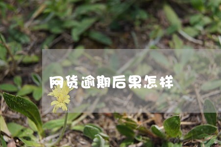 网货逾期后果怎样 网货逾期后果怎样