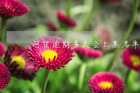 网货逾期多久会上黑名单 网货逾期多久会上黑名单