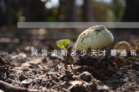 网货逾期多少天才暴通讯录 网货逾期多少天才暴通讯录