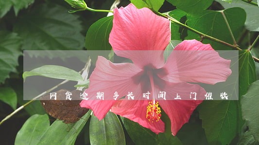 网货逾期多长时间上门催收 网货逾期多长时间上门催收