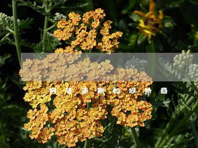 网货逾期如何协商 网货逾期如何协商