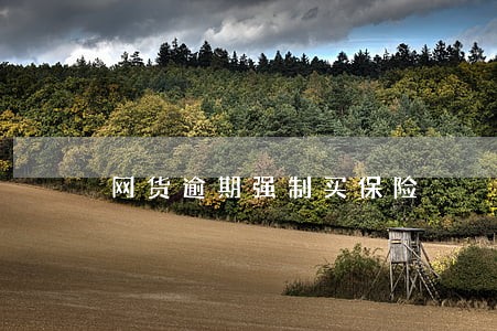 网货逾期强制买保险 网货逾期强制买保险