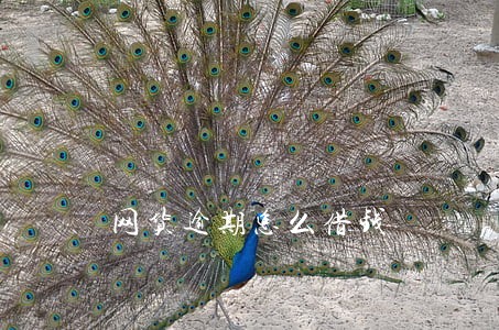 网货逾期怎么借钱 网货逾期怎么借钱