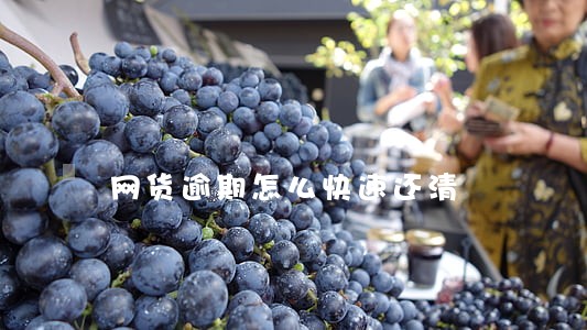 网货逾期怎么快速还清 网货逾期怎么快速还清
