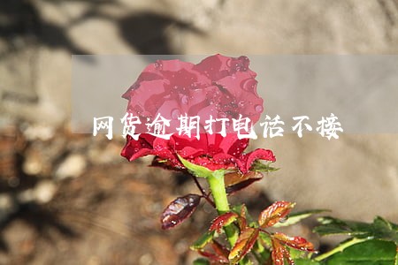 网货逾期打电话不接 网货逾期打电话不接